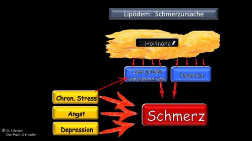 lipoedem-psychosoziale-aspekte-schmerzmodells-abb7